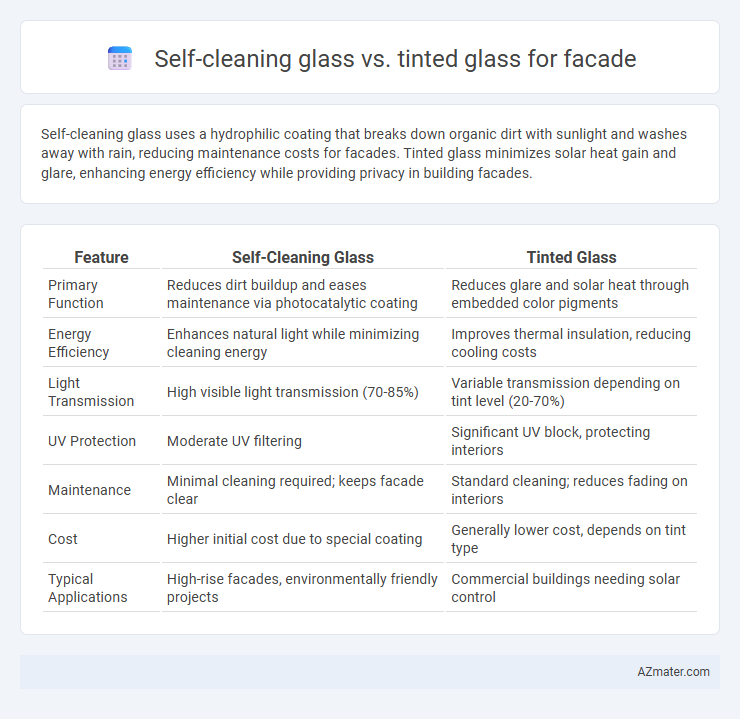 Self-cleaning glass vs. tinted glass for facade - What is The Difference?