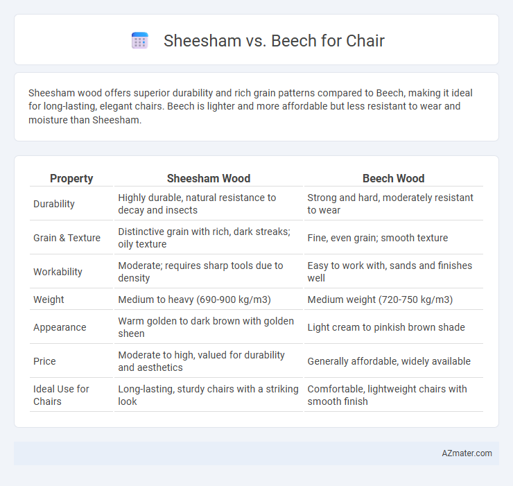 Sheesham vs. Beech for Chair - What is The Difference?