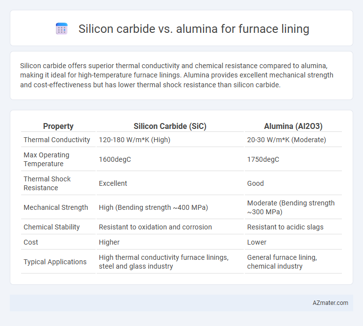 Silicon carbide vs. alumina for furnace lining - What is The Difference?