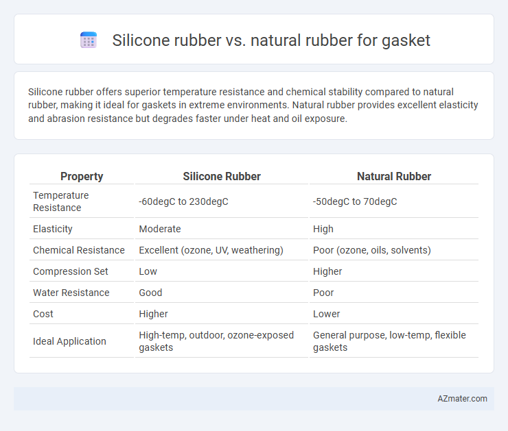 Silicone rubber vs. natural rubber for gasket - What is The Difference?
