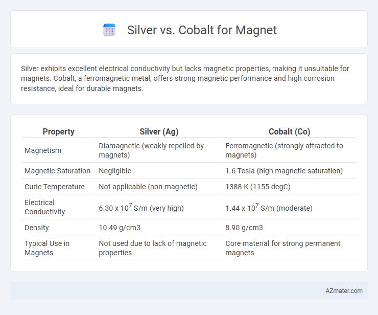 Silver vs. Cobalt for Magnet - What is The Difference?