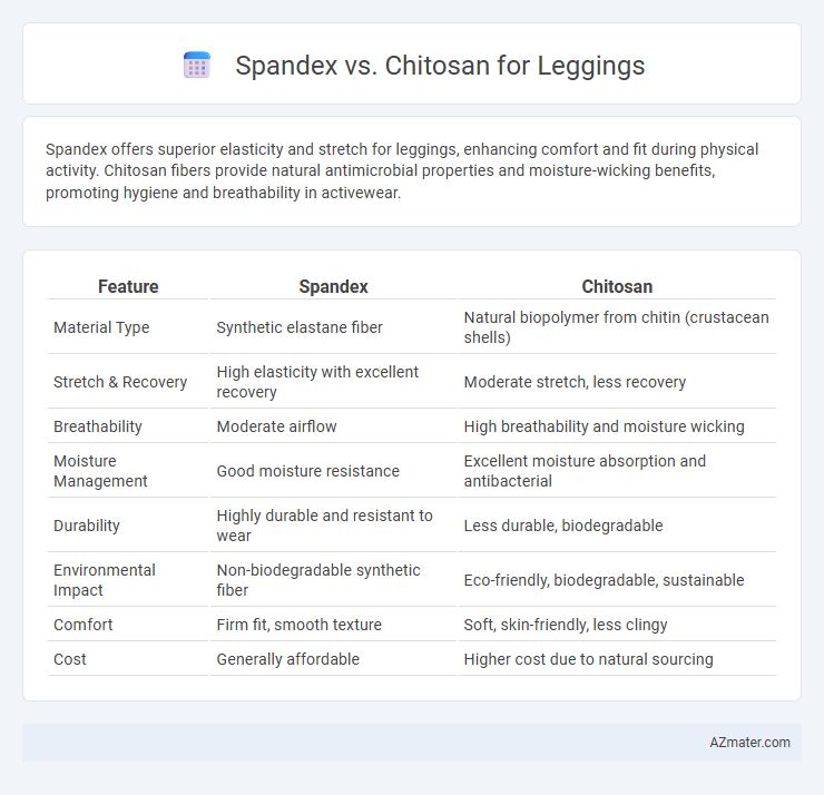 Spandex vs. Chitosan for Leggings - What is The Difference?