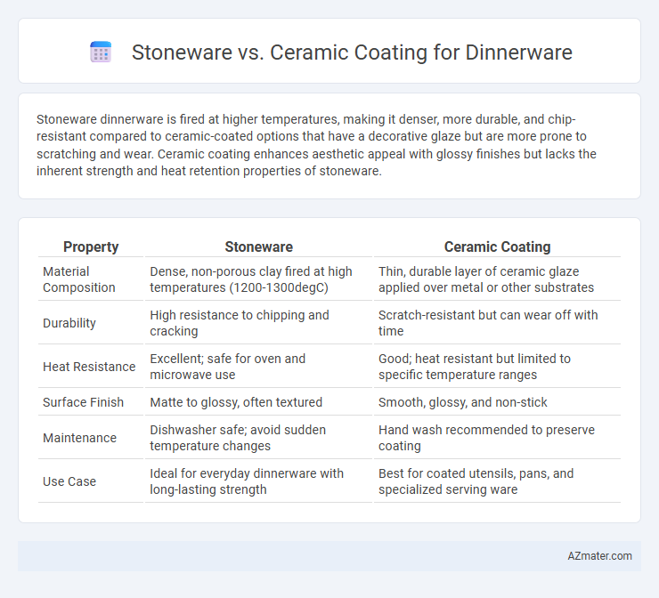 Stoneware vs. Ceramic Coating for Dinnerware - What is The Difference?