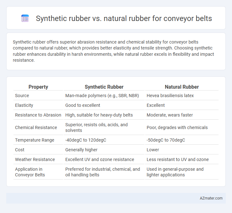 Synthetic rubber vs. natural rubber for conveyor belts - What is The Difference?