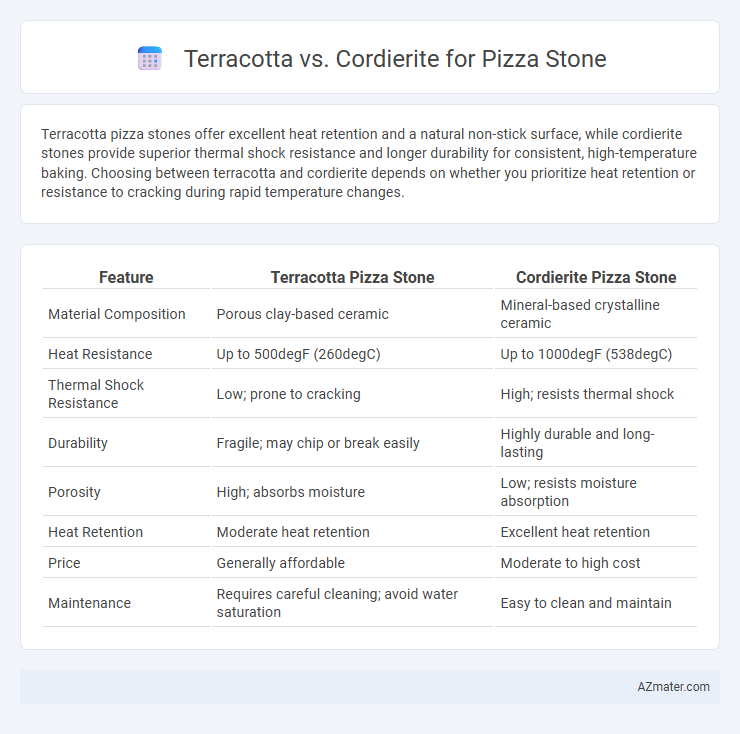 Terracotta vs. Cordierite for Pizza Stone - What is The Difference?