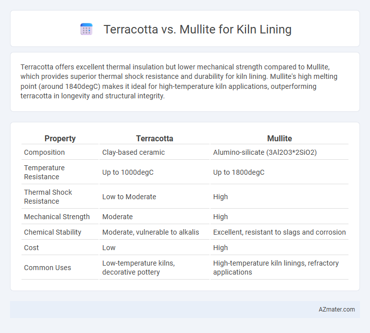 Terracotta vs. Mullite for Kiln Lining - What is The Difference?