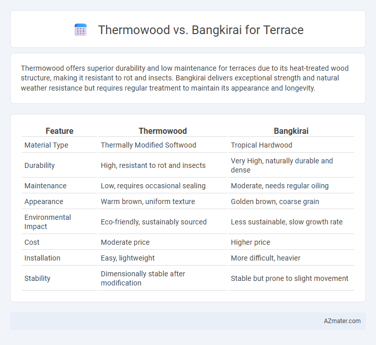 Thermowood vs. Bangkirai for Terrace - What is The Difference?