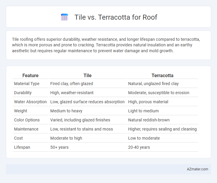 Tile vs. Terracotta for Roof - What is The Difference?