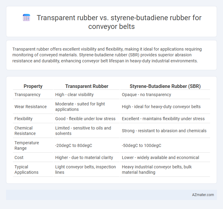 Transparent rubber vs. styrene-butadiene rubber for conveyor belts - What is The Difference?