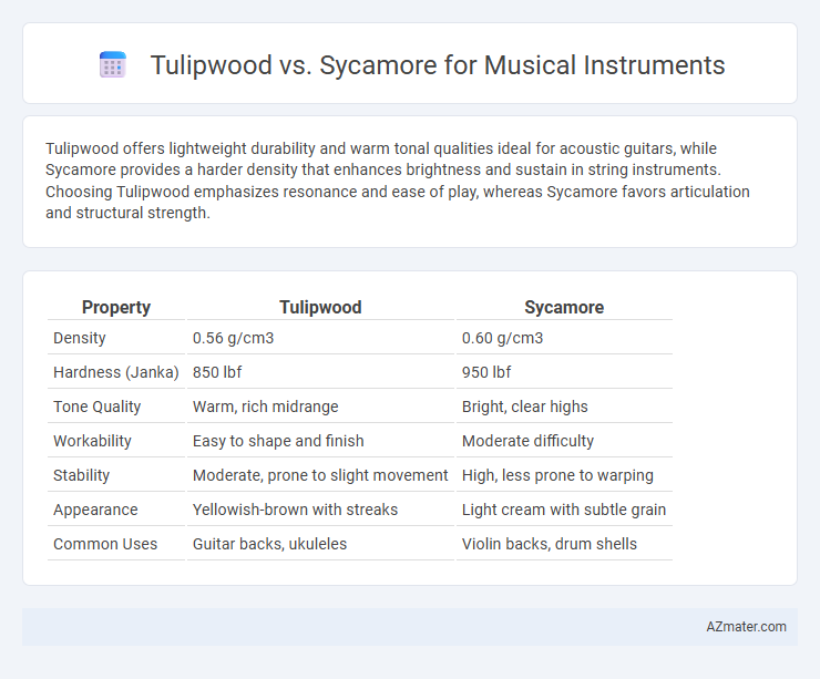 Tulipwood vs. Sycamore for Musical Instruments - What is The Difference?