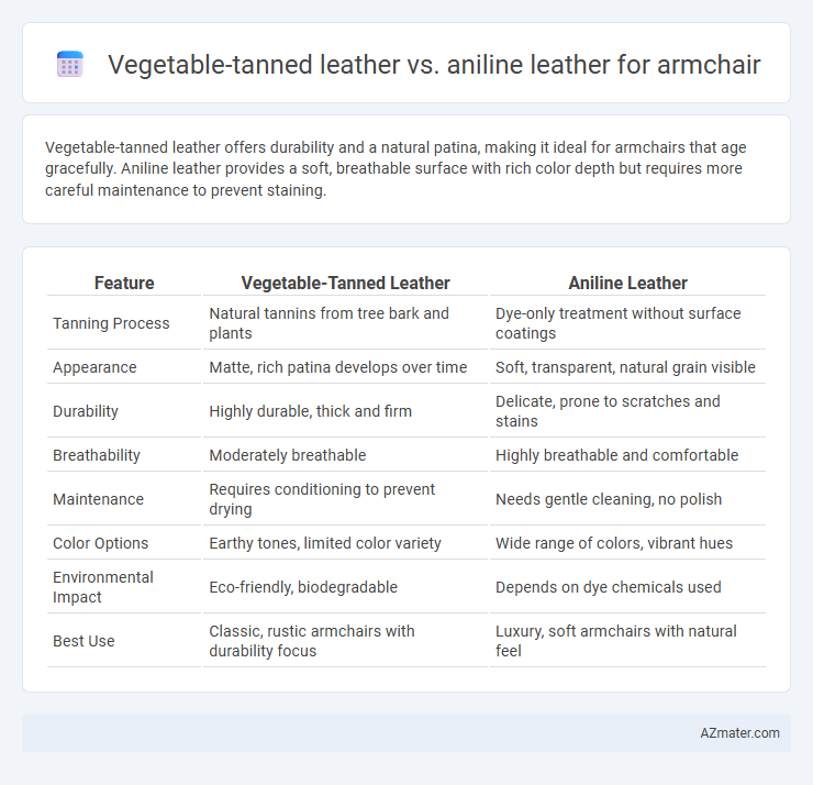 Vegetable-tanned leather vs. aniline leather for armchair - What is The Difference?