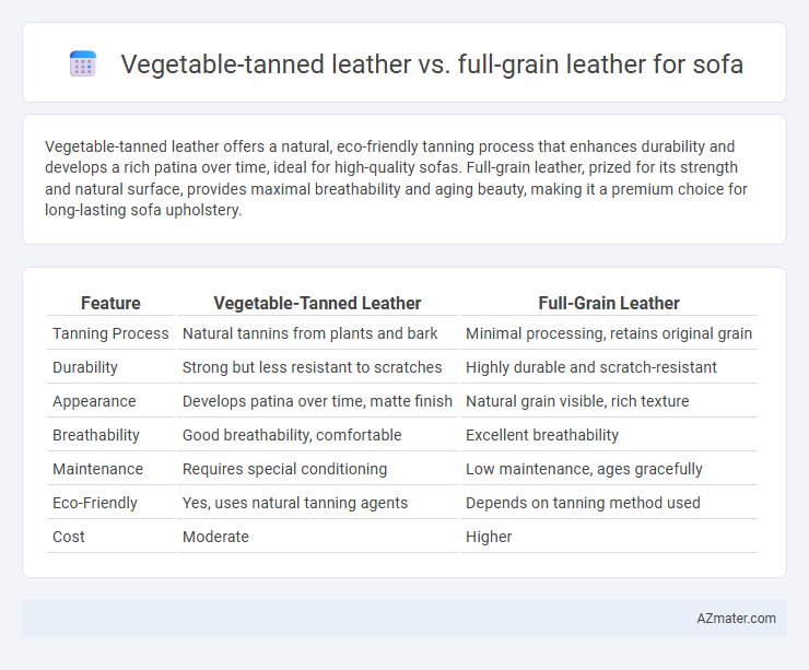 Vegetable-tanned leather vs. full-grain leather for sofa - What is The Difference?