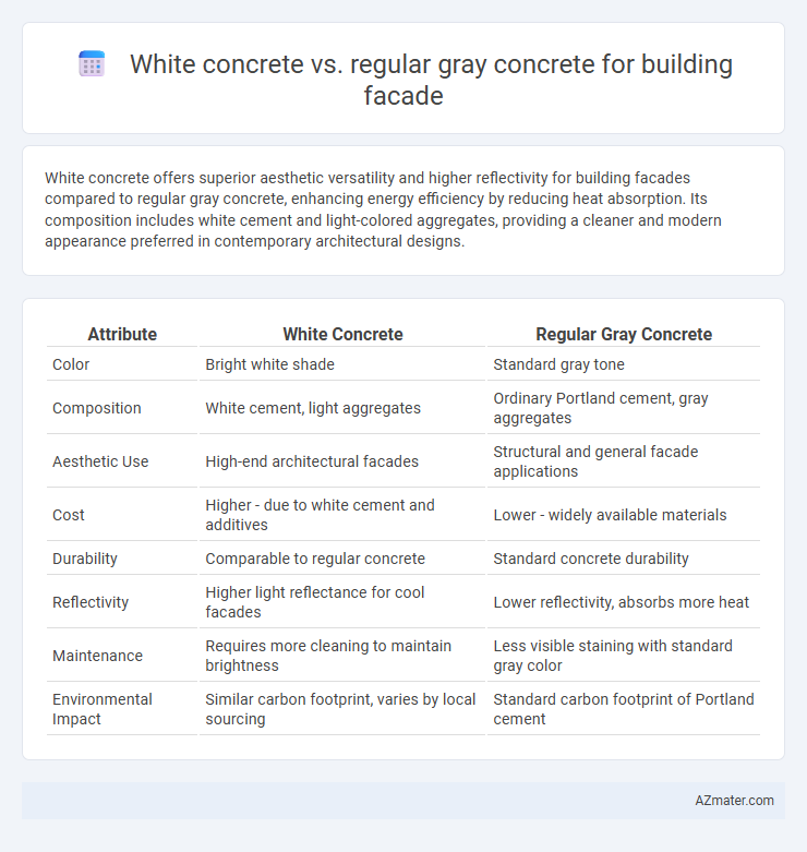 White concrete vs. regular gray concrete for building facade - What is The Difference?