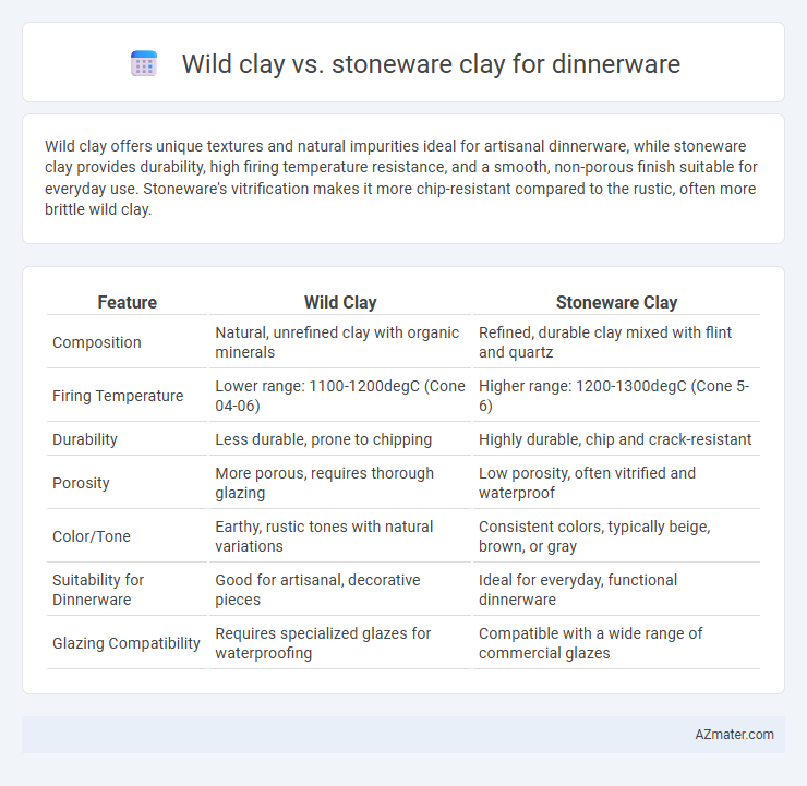 Wild clay vs. stoneware clay for dinnerware - What is The Difference?