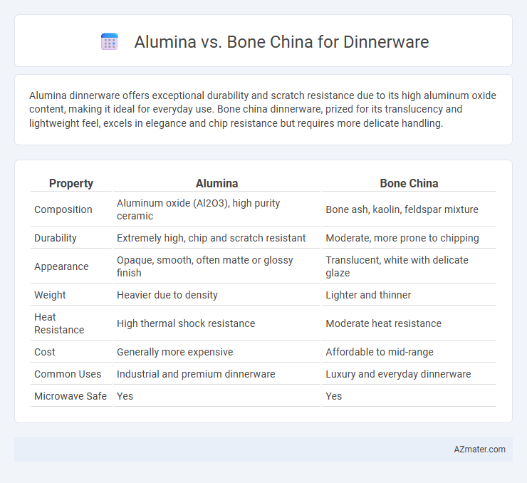 Alumina vs. Bone China for Dinnerware - What is The Difference?