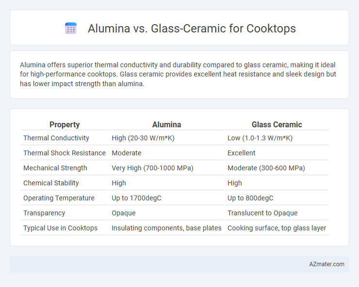 Alumina vs. Glass-Ceramic for Cooktops - What is The Difference?