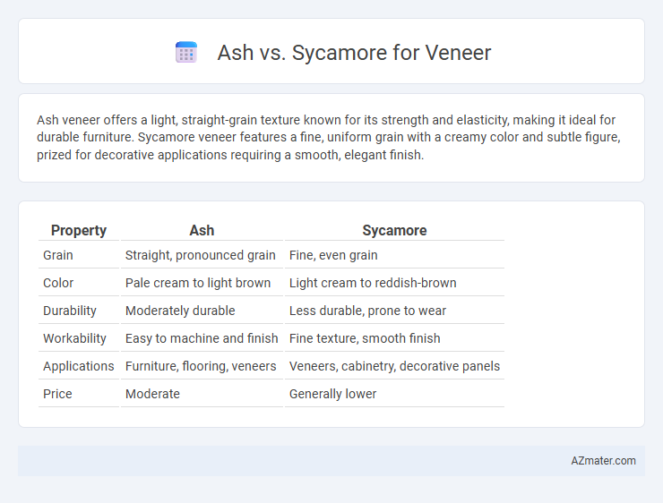 Ash vs. Sycamore for Veneer - What is The Difference?
