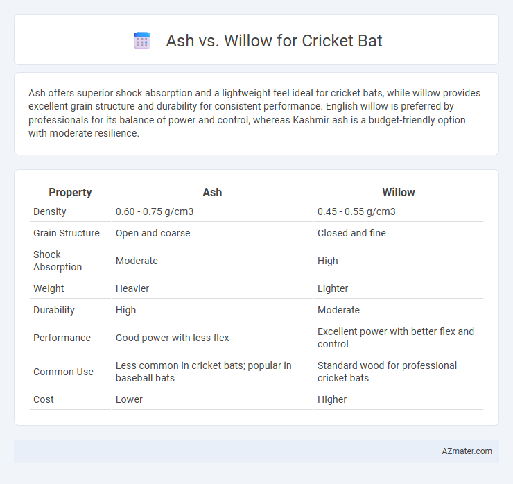 Ash vs. Willow for Cricket Bat - What is The Difference?