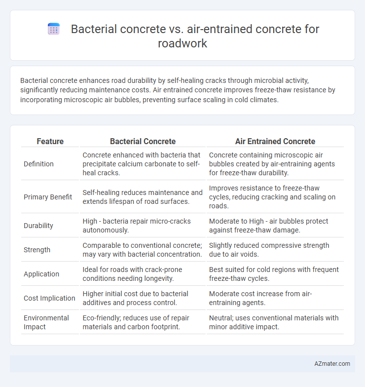Bacterial concrete vs. air-entrained concrete for roadwork - What is The Difference?