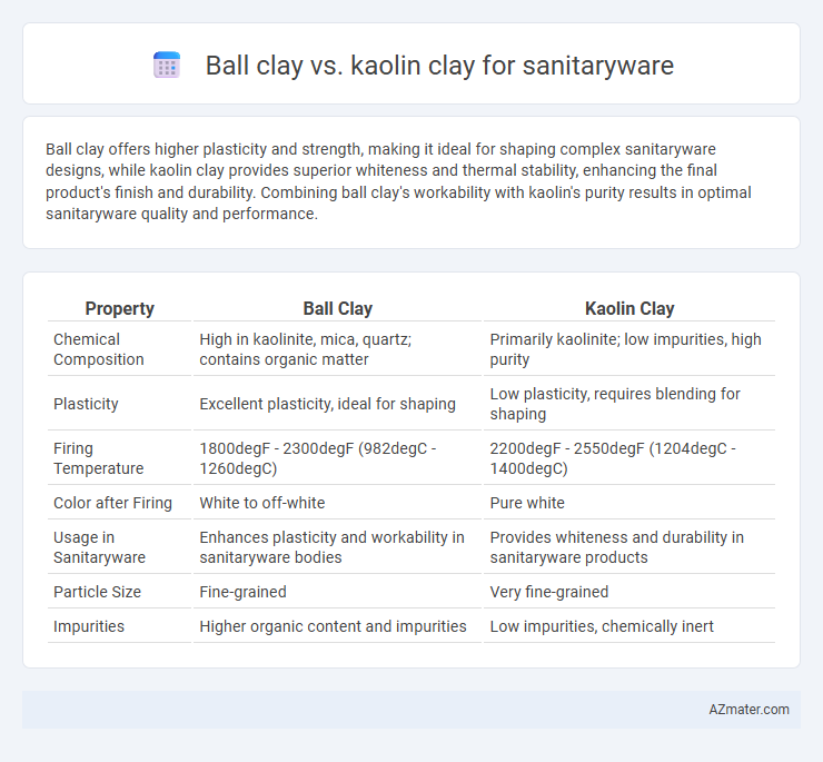 Ball clay vs. kaolin clay for sanitaryware - What is The Difference?
