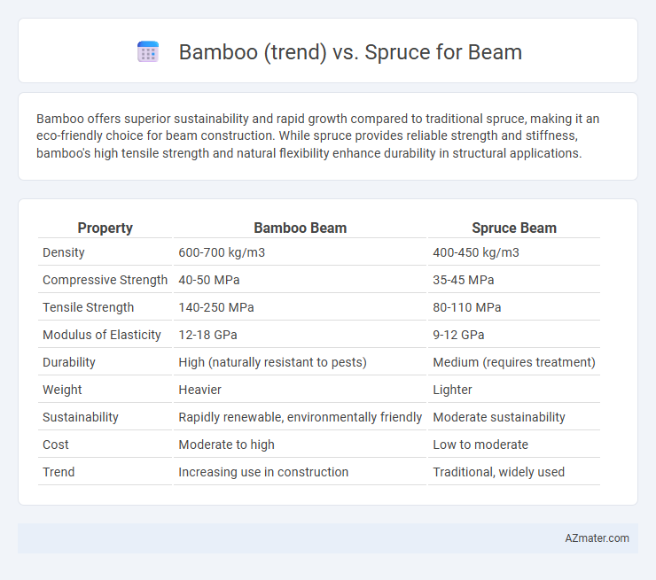 Bamboo (trend) vs. Spruce for Beam - What is The Difference?