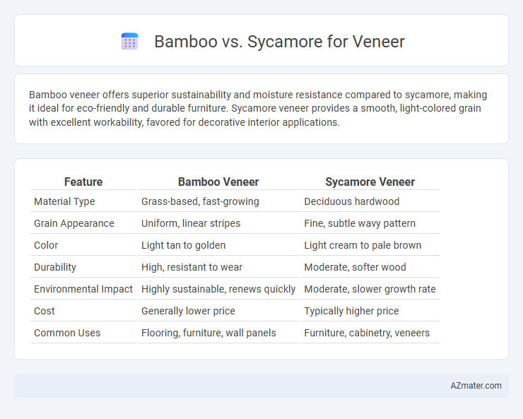 Bamboo vs. Sycamore for Veneer - What is The Difference?