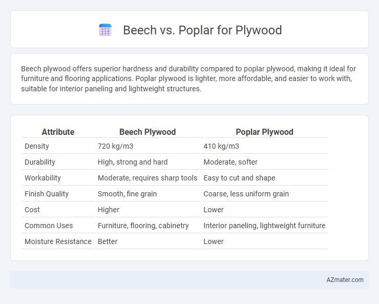 Beech vs. Poplar for Plywood - What is The Difference?