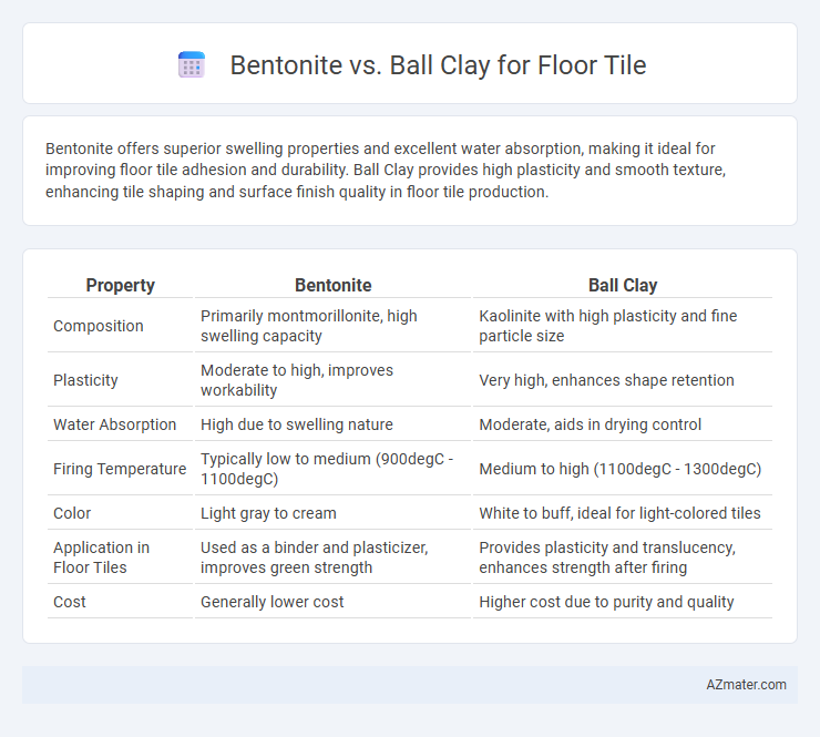 Bentonite vs. Ball Clay for Floor Tile - What is The Difference?