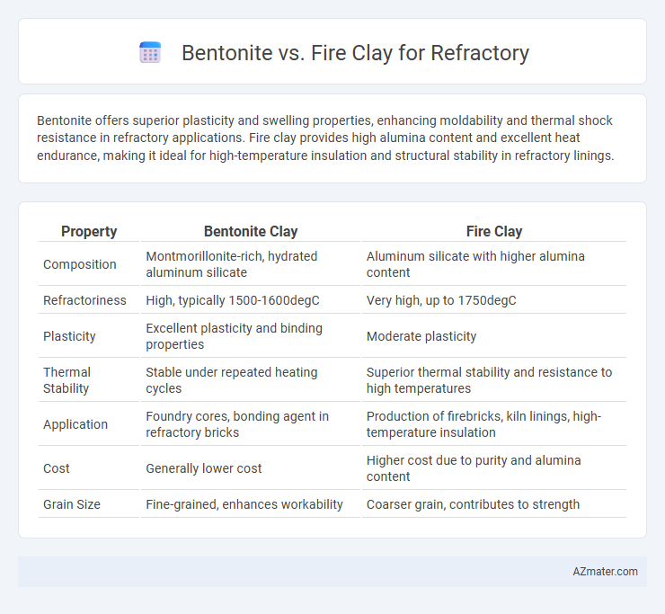 Bentonite vs. Fire Clay for Refractory - What is The Difference?