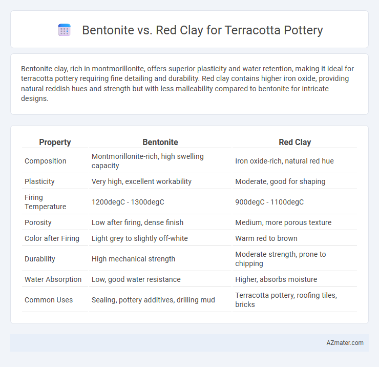 Bentonite vs. Red Clay for Terracotta Pottery - What is The Difference?
