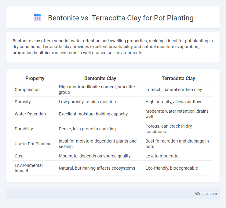 Bentonite vs. Terracotta Clay for Pot Planting - What is The Difference?