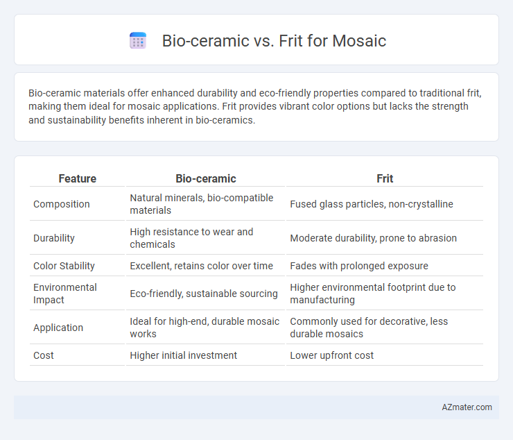 Bio-ceramic vs. Frit for Mosaic - What is The Difference?
