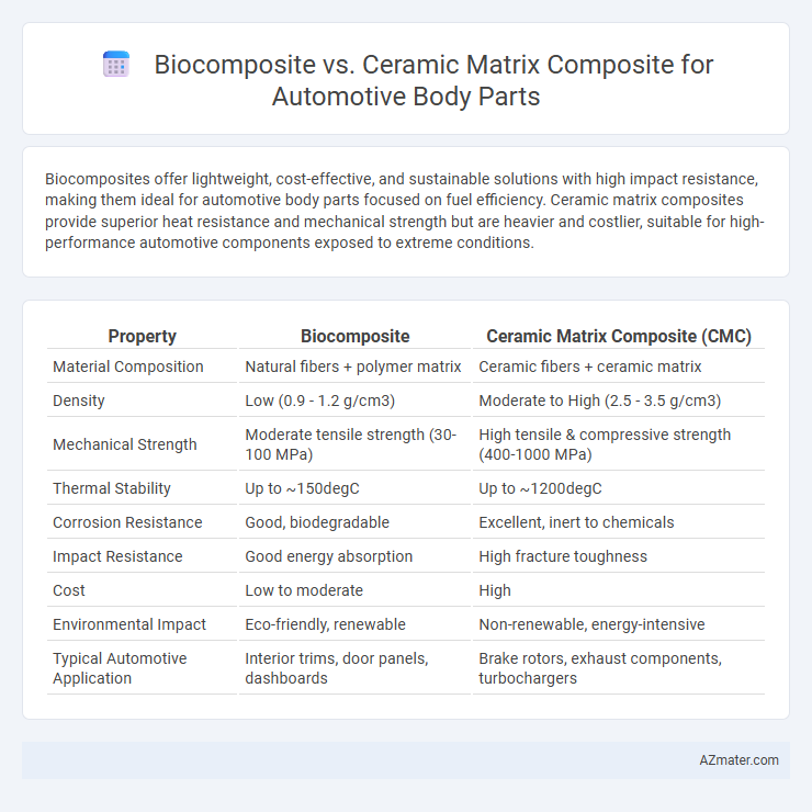 Biocomposite vs. Ceramic Matrix Composite for Automotive Body Parts - What is The Difference?