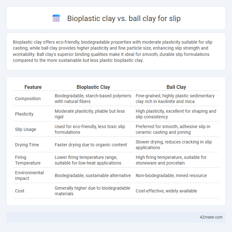 Bioplastic clay vs. ball clay for slip - What is The Difference?