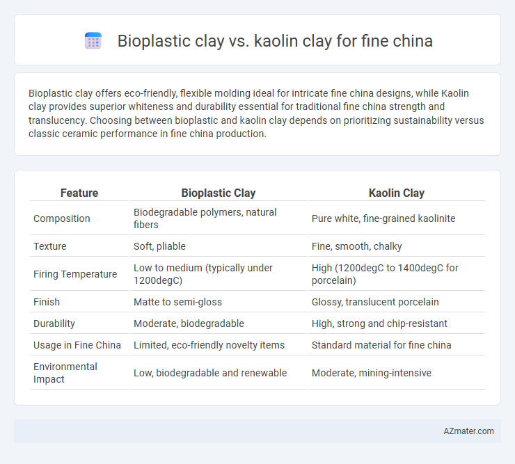 Bioplastic clay vs. kaolin clay for fine china - What is The Difference?