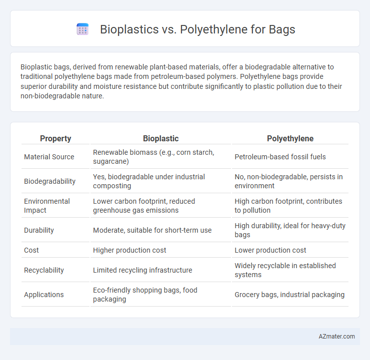 Bioplastics vs. Polyethylene for Bags - What is The Difference?