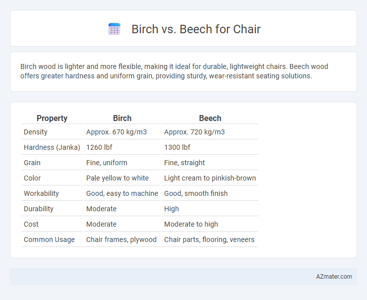 Birch vs. Beech for Chair - What is The Difference?