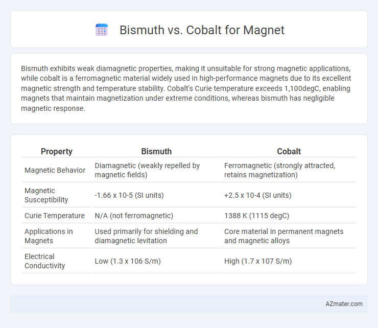 Bismuth vs. Cobalt for Magnet - What is The Difference?