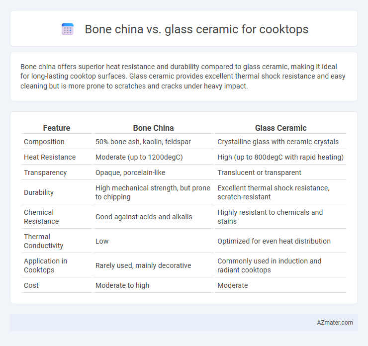 Bone china vs. glass ceramic for cooktops - What is The Difference?