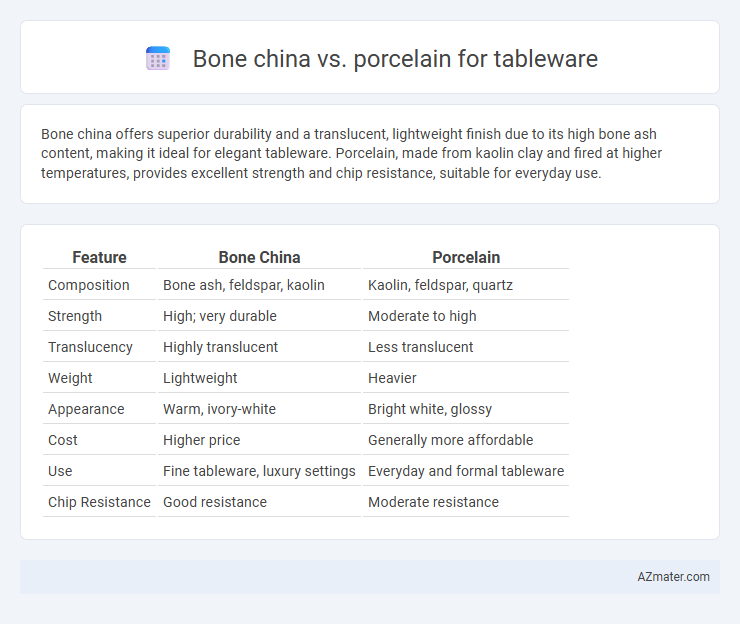 Bone china vs. porcelain for tableware - What is The Difference?