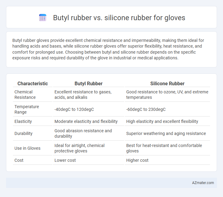 Butyl rubber vs. silicone rubber for gloves - What is The Difference?