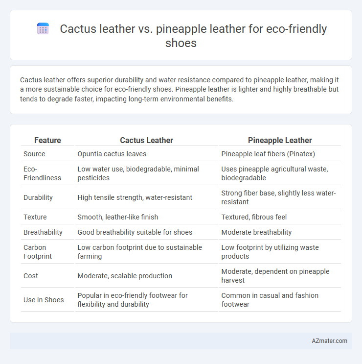 Cactus leather vs. pineapple leather for eco-friendly shoes - What is The Difference?