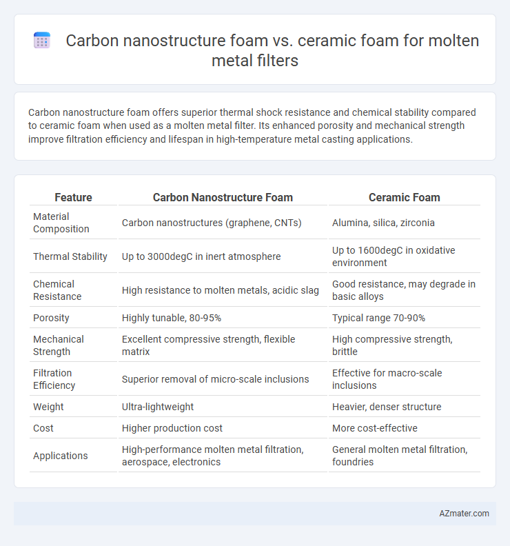 Carbon nanostructure foam vs. ceramic foam for molten metal filters - What is The Difference?