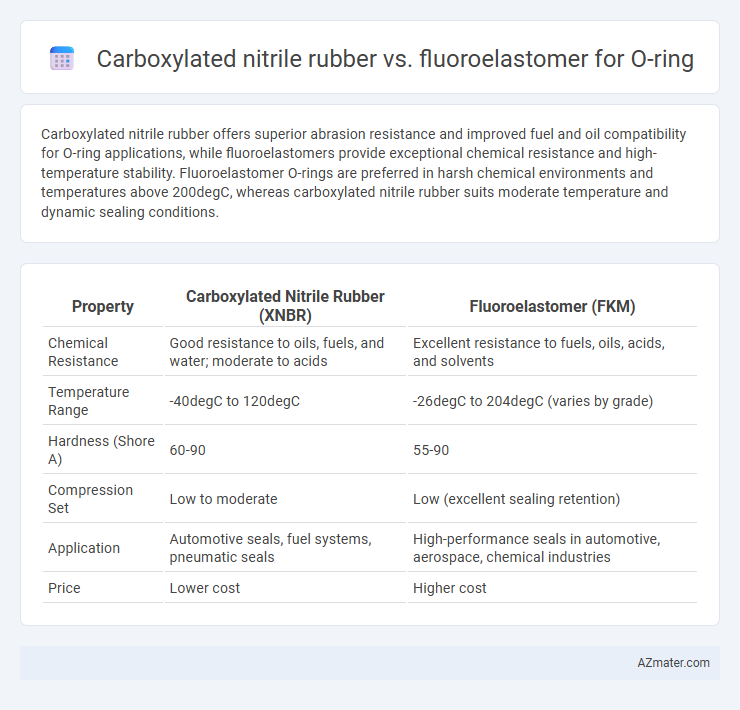 Carboxylated nitrile rubber vs. fluoroelastomer for O-ring - What is The Difference?