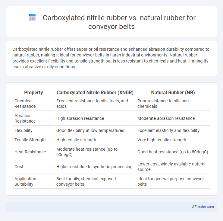 Carboxylated nitrile rubber vs. natural rubber for conveyor belts - What is The Difference?