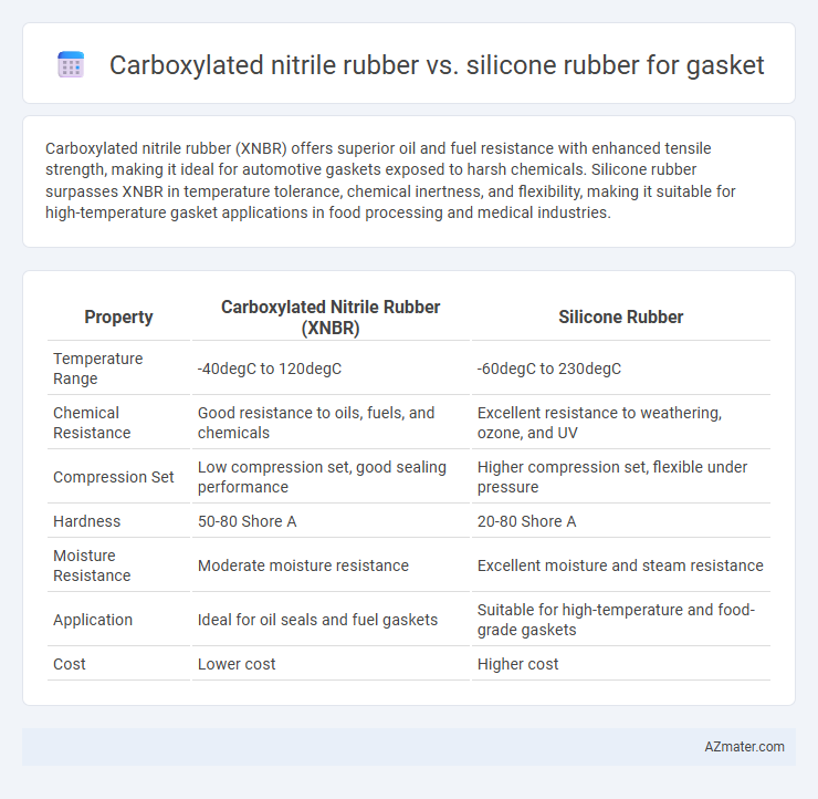 Carboxylated nitrile rubber vs. silicone rubber for gasket - What is The Difference?