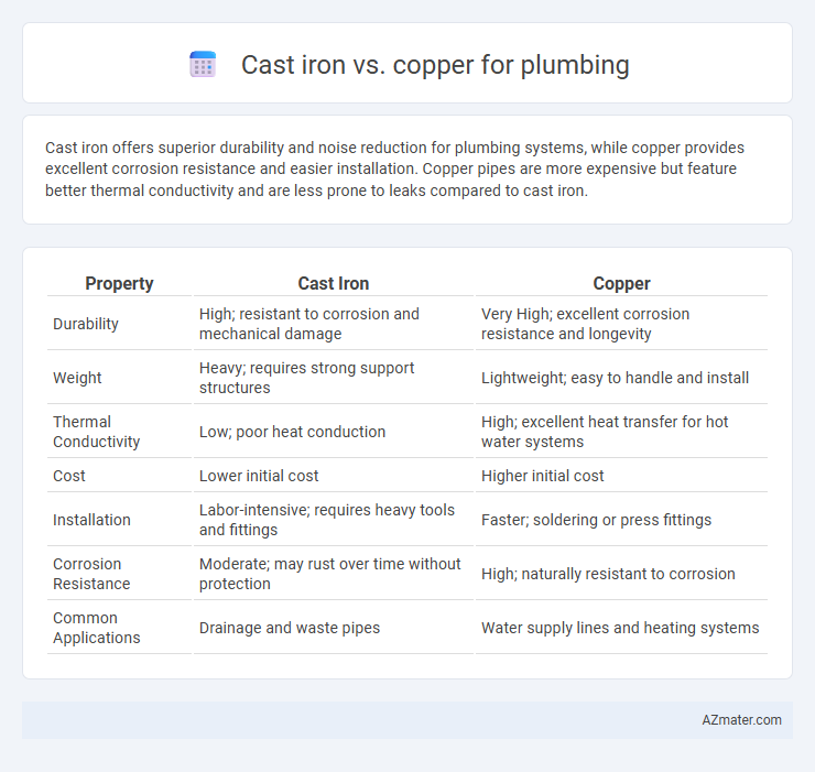 Cast iron vs. copper for plumbing - What is The Difference?