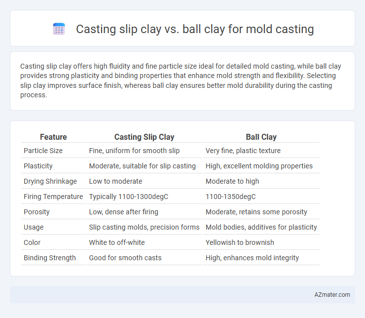 Casting slip clay vs. ball clay for mold casting - What is The Difference?