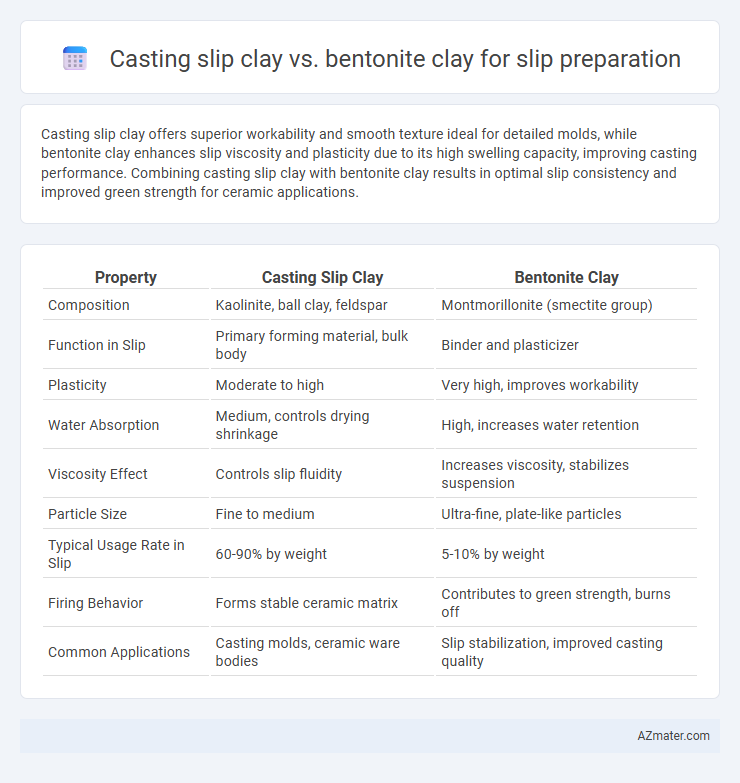 Casting slip clay vs. bentonite clay for slip preparation - What is The Difference?