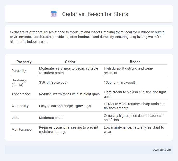 Cedar vs. Beech for Stairs - What is The Difference?